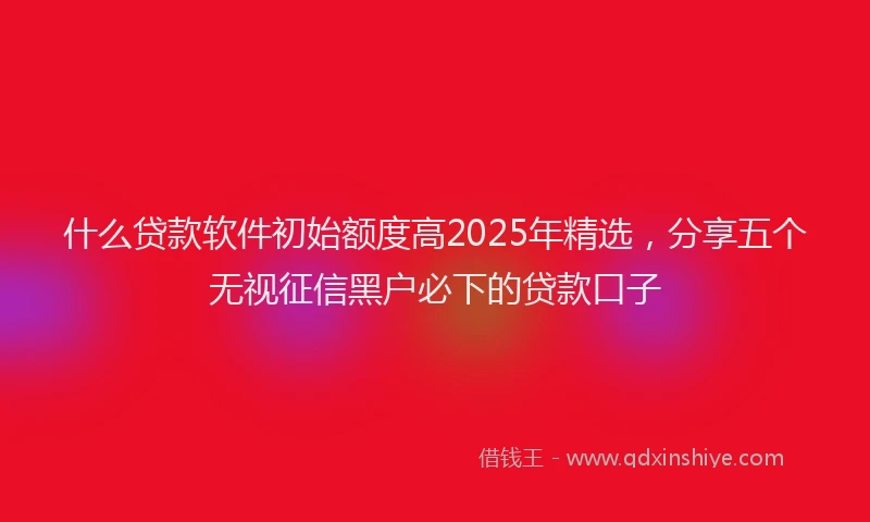 什么贷款软件初始额度高2025年精选，分享五个无视征信黑户必下的贷款口子