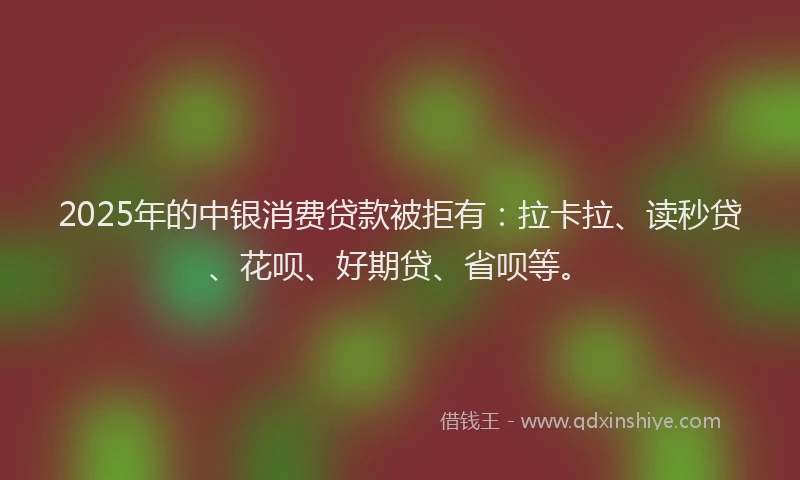 2025年的中银消费贷款被拒有：拉卡拉、读秒贷、花呗、好期贷、省呗等。