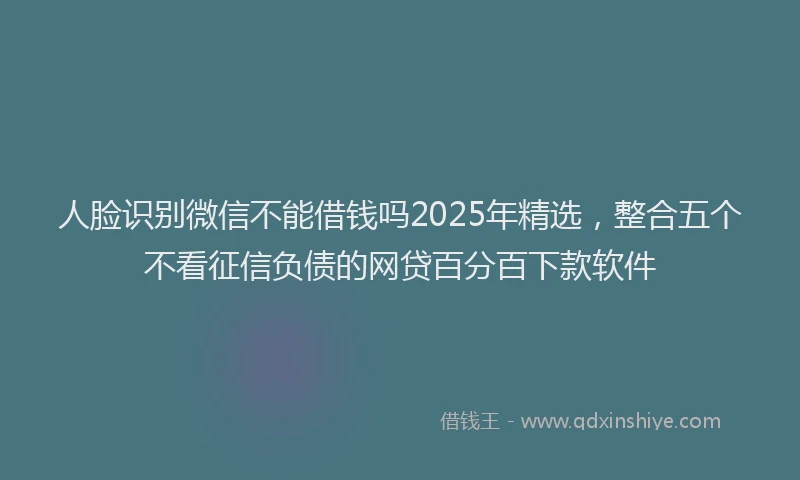 人脸识别微信不能借钱吗2025年精选，整合五个不看征信负债的网贷百分百下款软件
