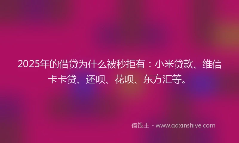 2025年的借贷为什么被秒拒有：小米贷款、维信卡卡贷、还呗、花呗、东方汇等。