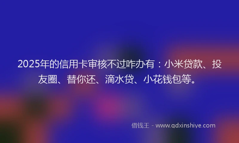2025年的信用卡审核不过咋办有：小米贷款、投友圈、替你还、滴水贷、小花钱包等。