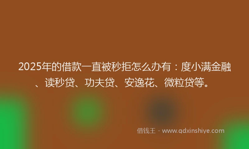 2025年的借款一直被秒拒怎么办有：度小满金融、读秒贷、功夫贷、安逸花、微粒贷等。