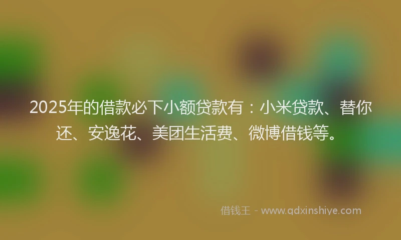 2025年的借款必下小额贷款有：小米贷款、替你还、安逸花、美团生活费、微博借钱等。