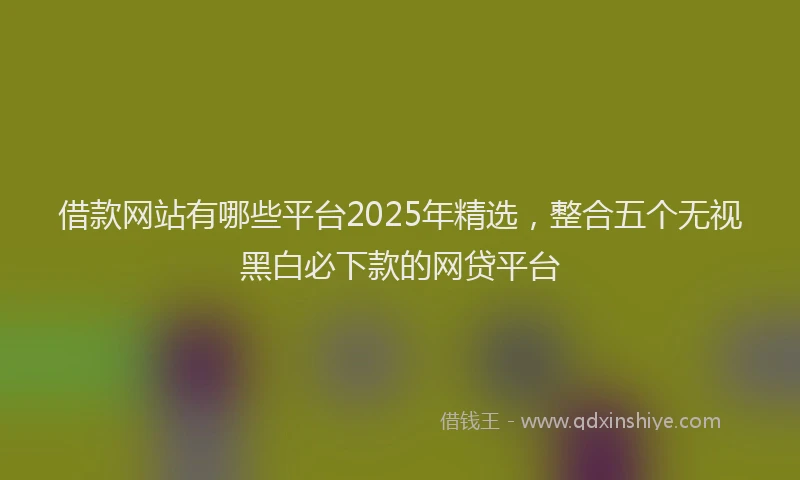 借款网站有哪些平台2025年精选，整合五个无视黑白必下款的网贷平台