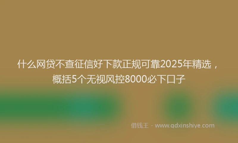 什么网贷不查征信好下款正规可靠2025年精选，概括5个无视风控8000必下口子