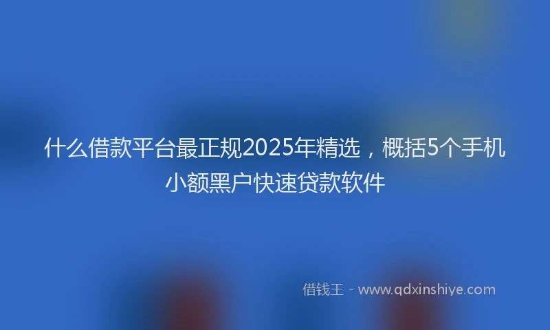 什么借款平台最正规2025年精选，概括5个手机小额黑户快速贷款软件