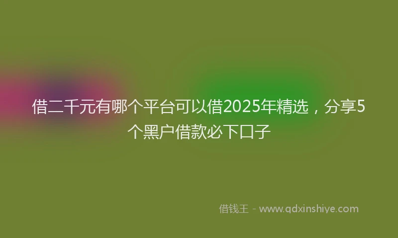 借二千元有哪个平台可以借2025年精选，分享5个黑户借款必下口子