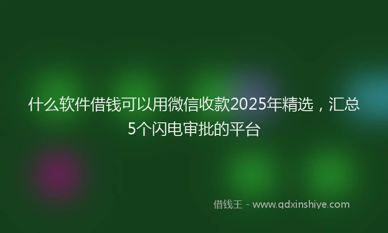 什么软件借钱可以用微信收款2025年精选，汇总5个闪电审批的平台