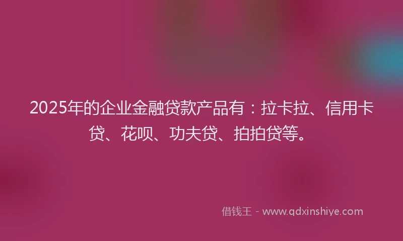 2025年的企业金融贷款产品有：拉卡拉、信用卡贷、花呗、功夫贷、拍拍贷等。