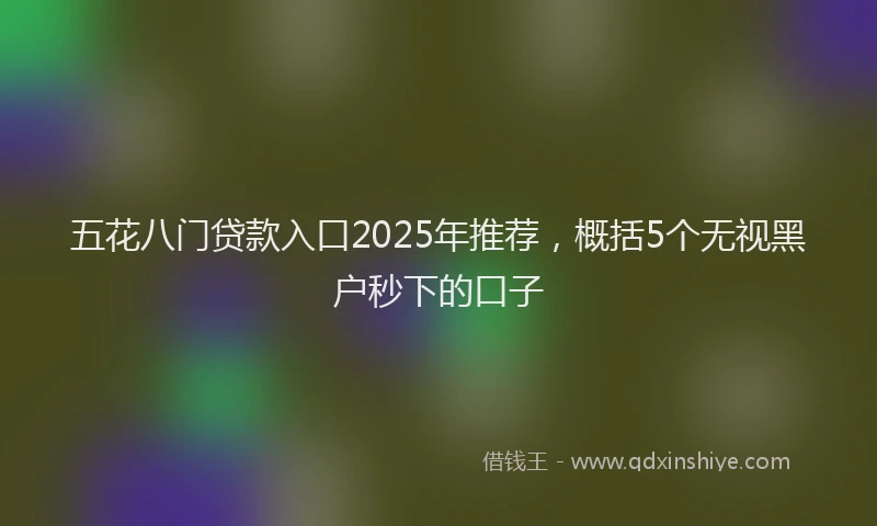 五花八门贷款入口2025年推荐，概括5个无视黑户秒下的口子