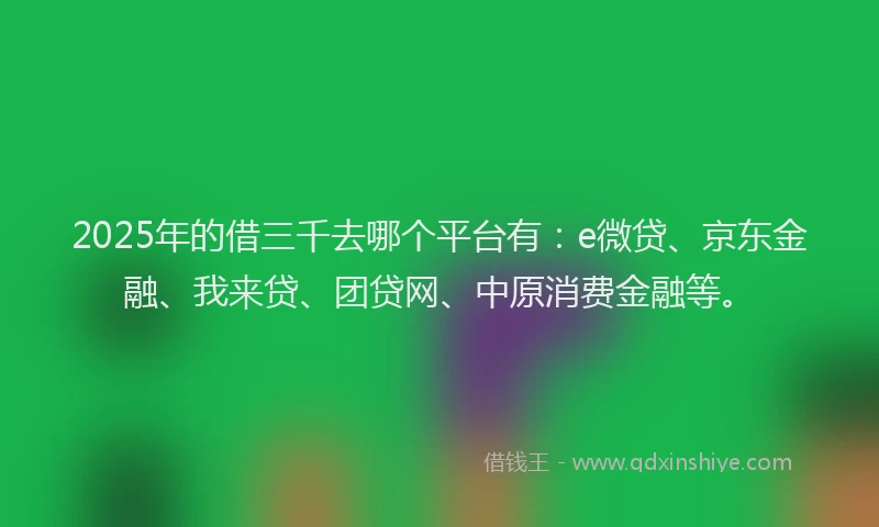 2025年的借三千去哪个平台有：e微贷、京东金融、我来贷、团贷网、中原消费金融等。