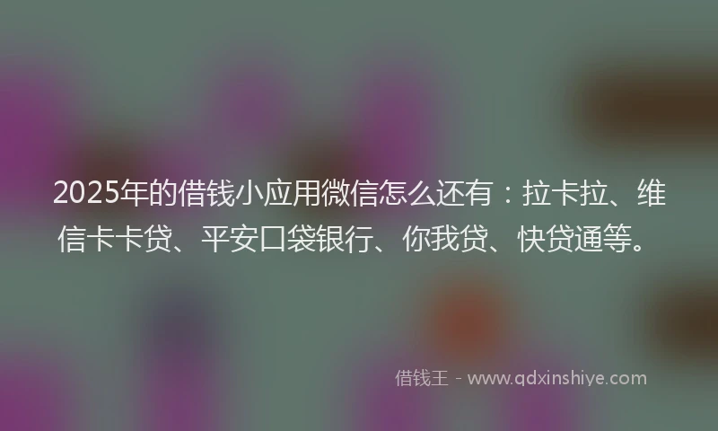2025年的借钱小应用微信怎么还有：拉卡拉、维信卡卡贷、平安口袋银行、你我贷、快贷通等。
