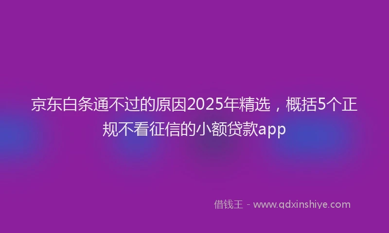 京东白条通不过的原因2025年精选，概括5个正规不看征信的小额贷款app