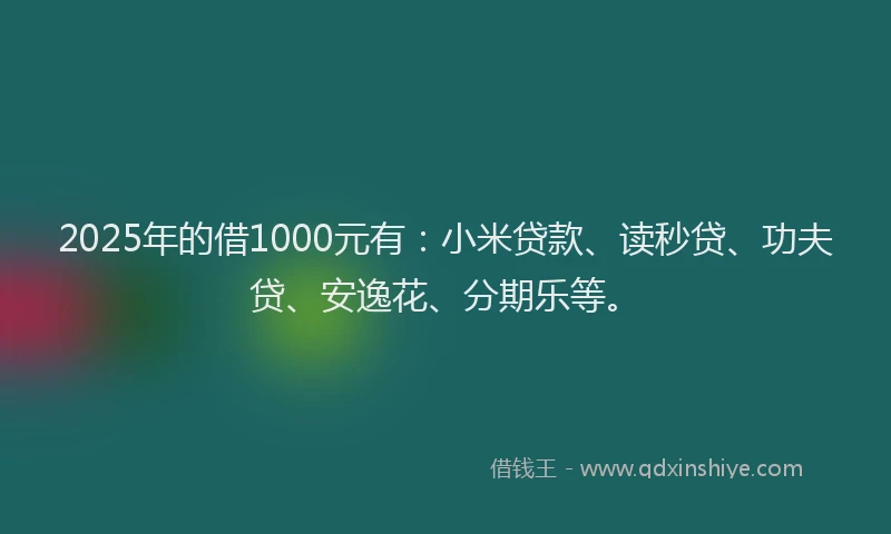 2025年的借1000元有：小米贷款、读秒贷、功夫贷、安逸花、分期乐等。