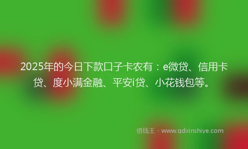 2025年的今日下款口子卡农有：e微贷、信用卡贷、度小满金融、平安i贷、小花钱包等。