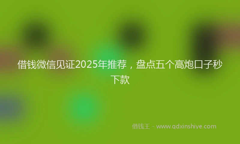 借钱微信见证2025年推荐，盘点五个高炮口子秒下款