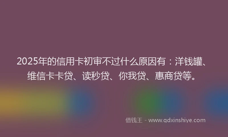 2025年的信用卡初审不过什么原因有：洋钱罐、维信卡卡贷、读秒贷、你我贷、惠商贷等。