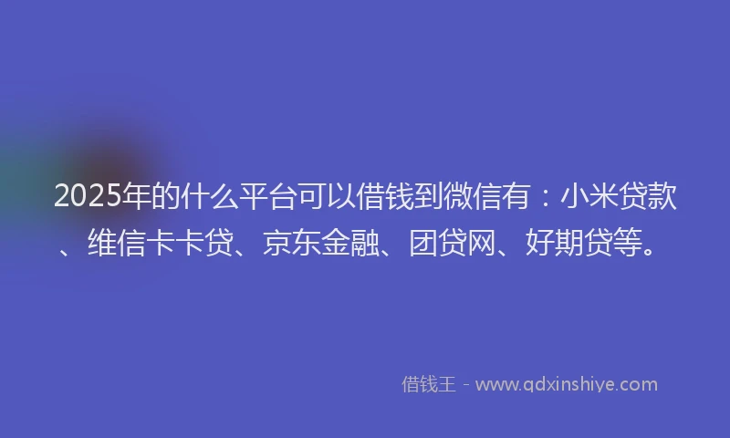 2025年的什么平台可以借钱到微信有：小米贷款、维信卡卡贷、京东金融、团贷网、好期贷等。