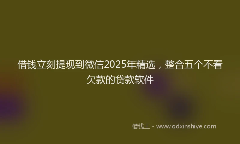 借钱立刻提现到微信2025年精选，整合五个不看欠款的贷款软件