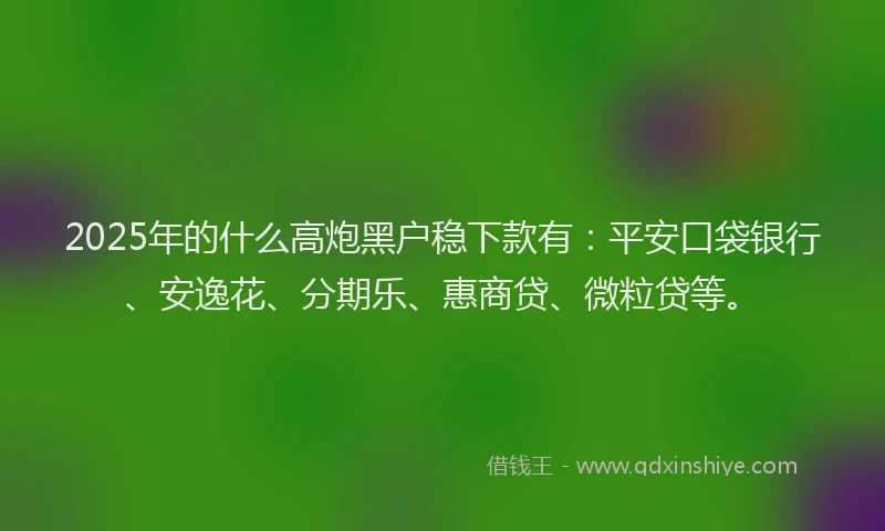 2025年的什么高炮黑户稳下款有：平安口袋银行、安逸花、分期乐、惠商贷、微粒贷等。