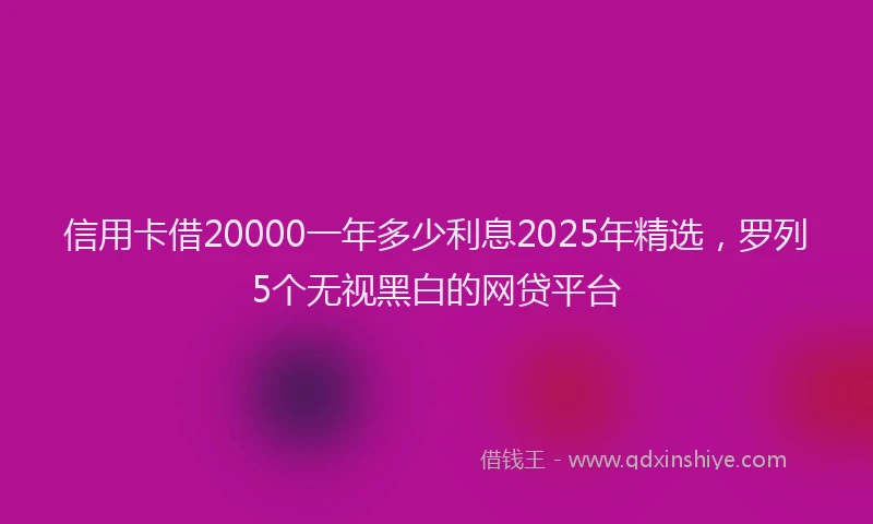 信用卡借20000一年多少利息2025年精选，罗列5个无视黑白的网贷平台