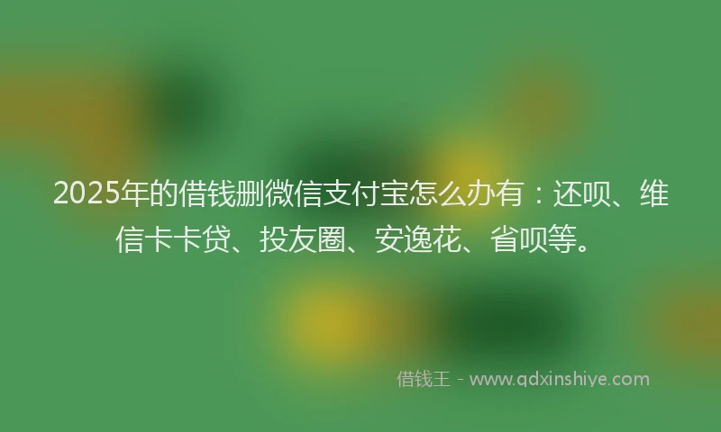 2025年的借钱删微信支付宝怎么办有：还呗、维信卡卡贷、投友圈、安逸花、省呗等。
