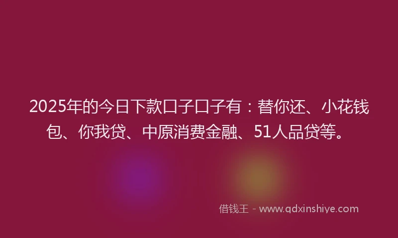 2025年的今日下款口子口子有：替你还、小花钱包、你我贷、中原消费金融、51人品贷等。