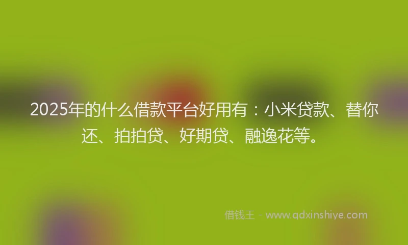 2025年的什么借款平台好用有：小米贷款、替你还、拍拍贷、好期贷、融逸花等。