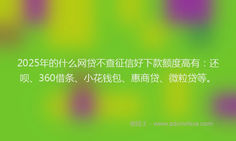 2025年的什么网贷不查征信好下款额度高有：还呗、360借条、小花钱包、惠商贷、微粒贷等。