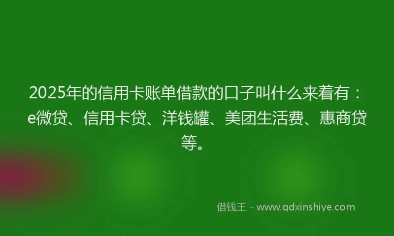 2025年的信用卡账单借款的口子叫什么来着有：e微贷、信用卡贷、洋钱罐、美团生活费、惠商贷等。