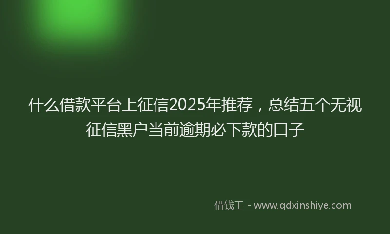 什么借款平台上征信2025年推荐，总结五个无视征信黑户当前逾期必下款的口子
