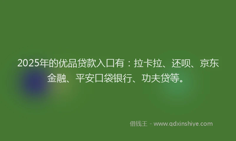 2025年的优品贷款入口有：拉卡拉、还呗、京东金融、平安口袋银行、功夫贷等。