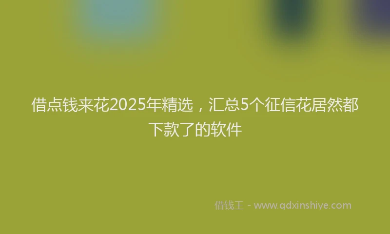 借点钱来花2025年精选，汇总5个征信花居然都下款了的软件