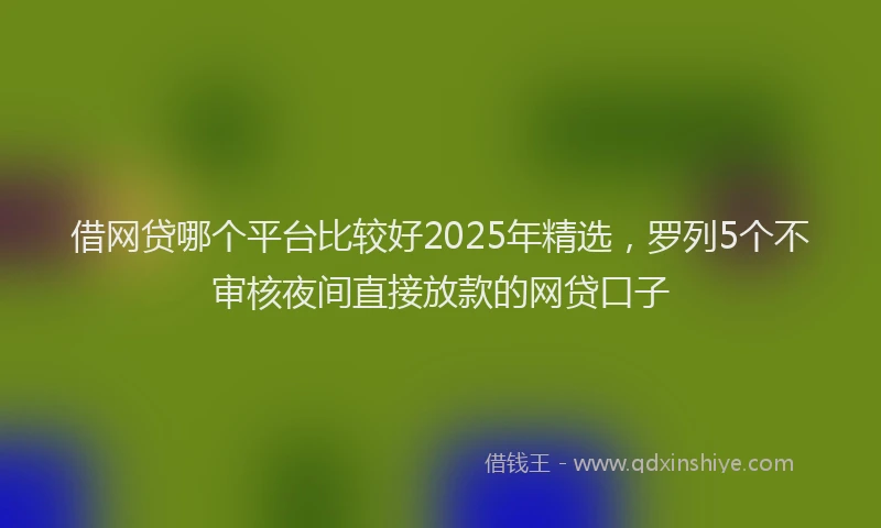 借网贷哪个平台比较好2025年精选，罗列5个不审核夜间直接放款的网贷口子