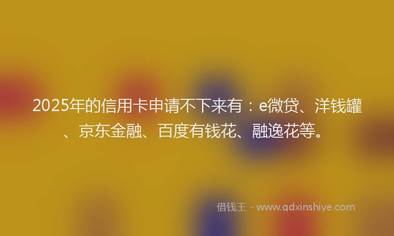 2025年的信用卡申请不下来有：e微贷、洋钱罐、京东金融、百度有钱花、融逸花等。