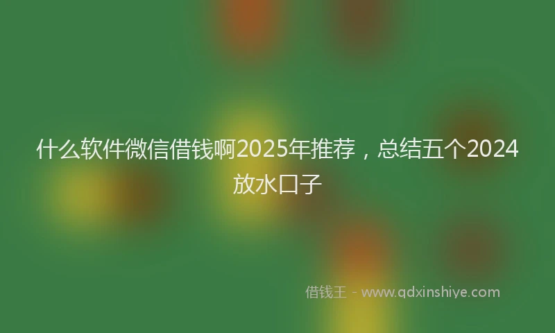 什么软件微信借钱啊2025年推荐，总结五个2024放水口子
