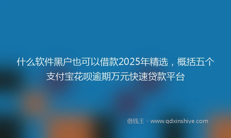什么软件黑户也可以借款2025年精选，概括五个支付宝花呗逾期万元快速贷款平台