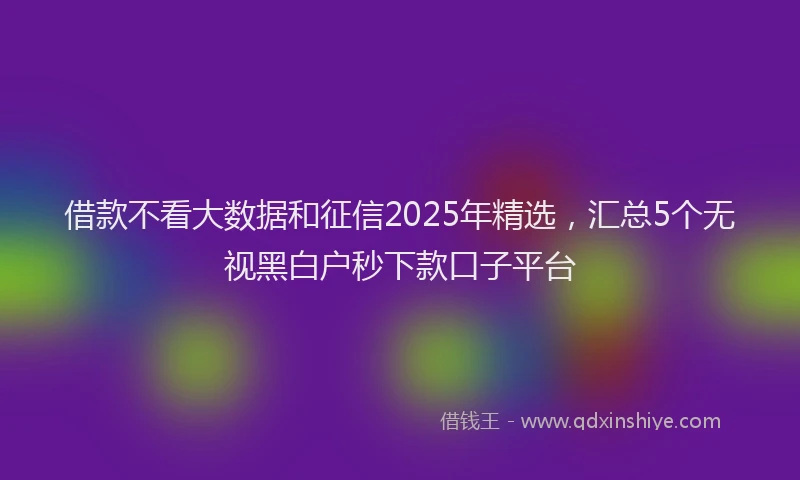 借款不看大数据和征信2025年精选，汇总5个无视黑白户秒下款口子平台