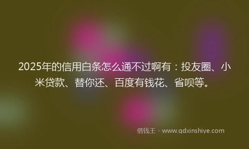 2025年的信用白条怎么通不过啊有：投友圈、小米贷款、替你还、百度有钱花、省呗等。