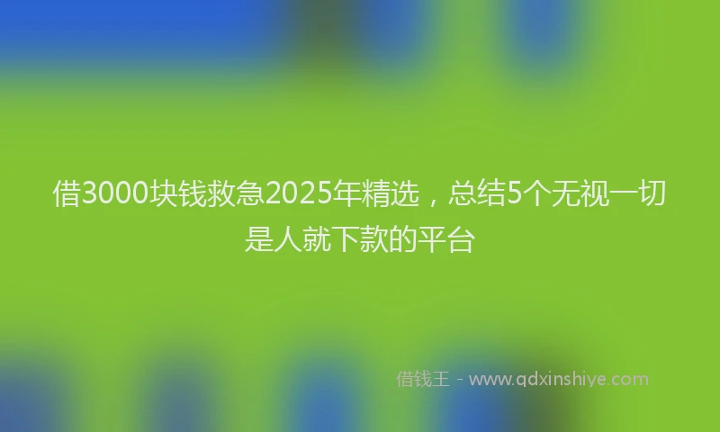 借3000块钱救急2025年精选，总结5个无视一切是人就下款的平台