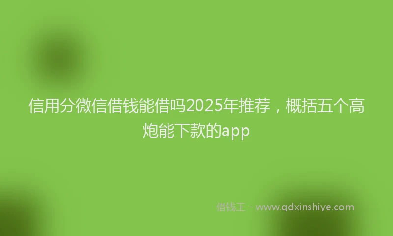 信用分微信借钱能借吗2025年推荐，概括五个高炮能下款的app