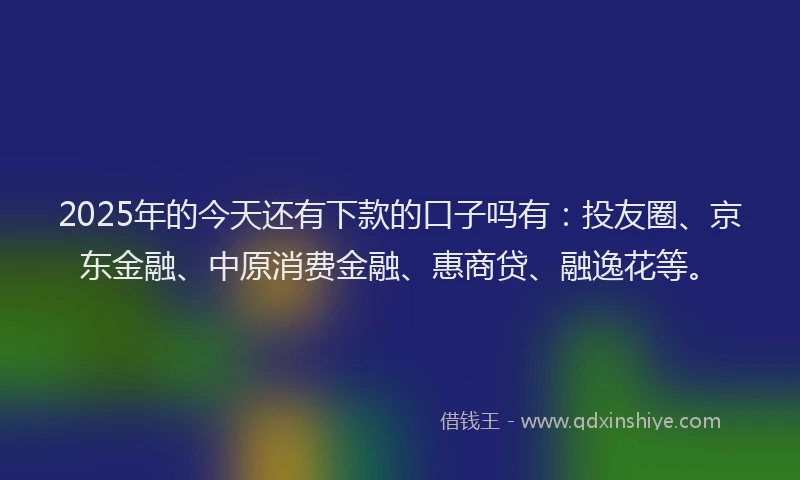 2025年的今天还有下款的口子吗有：投友圈、京东金融、中原消费金融、惠商贷、融逸花等。