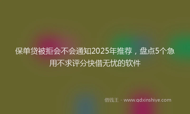 保单贷被拒会不会通知2025年推荐，盘点5个急用不求评分快借无忧的软件