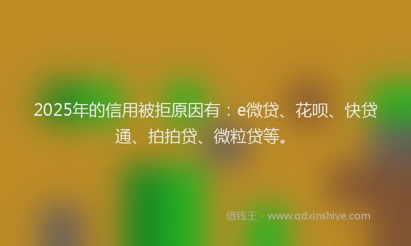 2025年的信用被拒原因有：e微贷、花呗、快贷通、拍拍贷、微粒贷等。