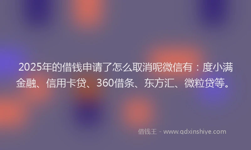 2025年的借钱申请了怎么取消呢微信有：度小满金融、信用卡贷、360借条、东方汇、微粒贷等。