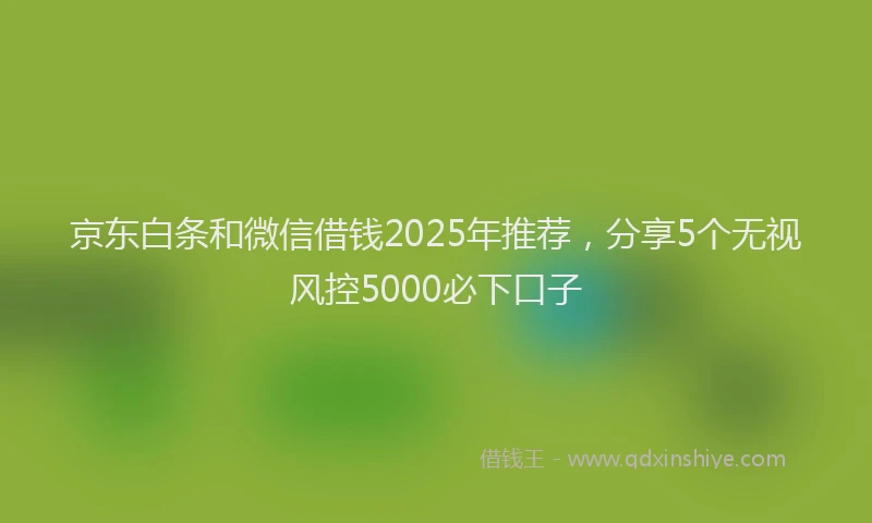 京东白条和微信借钱2025年推荐，分享5个无视风控5000必下口子