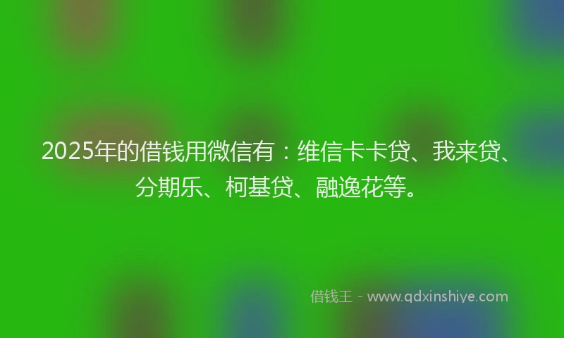 2025年的借钱用微信有：维信卡卡贷、我来贷、分期乐、柯基贷、融逸花等。