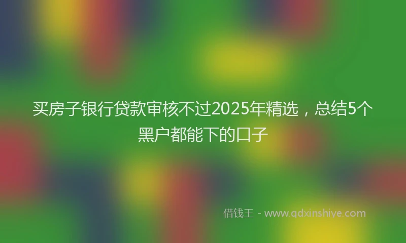 买房子银行贷款审核不过2025年精选，总结5个黑户都能下的口子