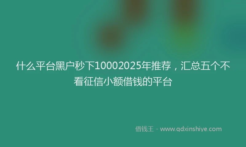 什么平台黑户秒下10002025年推荐，汇总五个不看征信小额借钱的平台