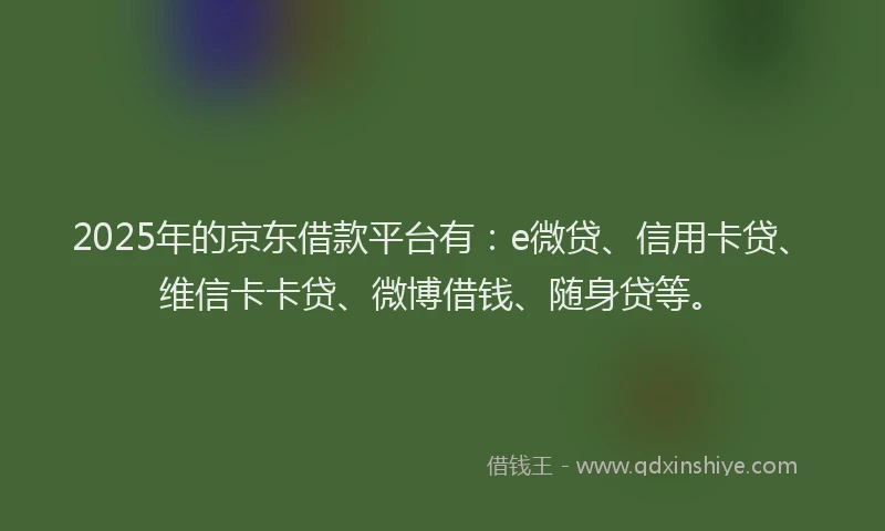2025年的京东借款平台有：e微贷、信用卡贷、维信卡卡贷、微博借钱、随身贷等。